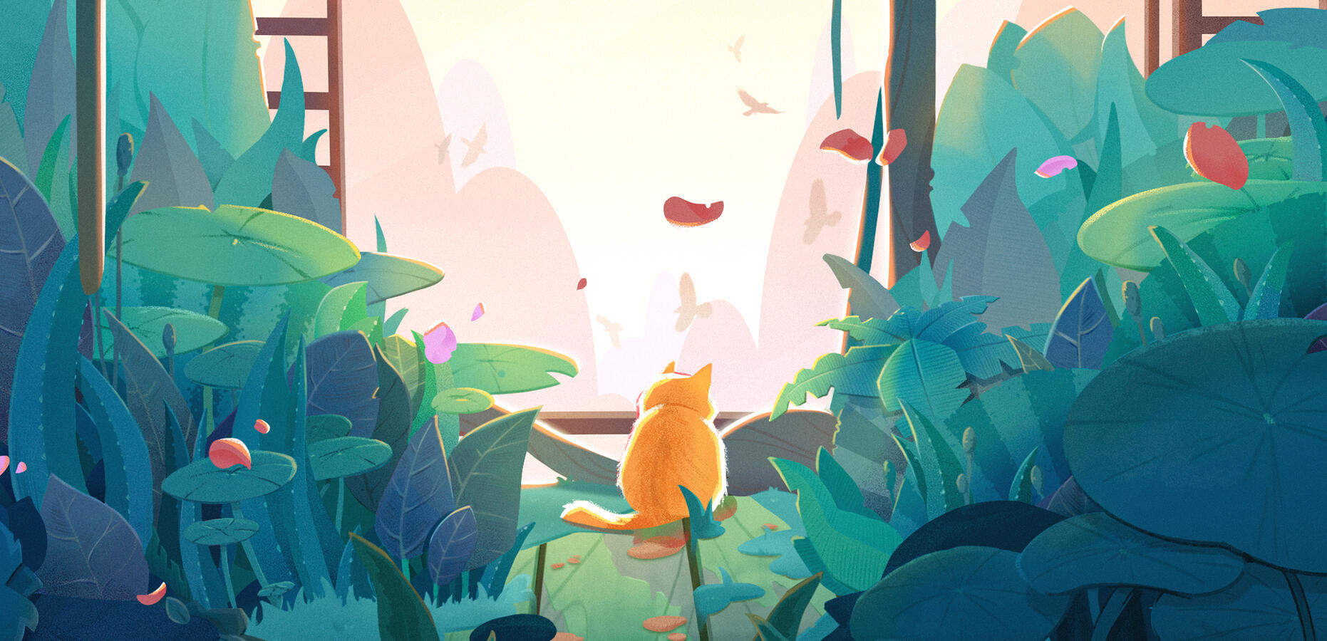 Illustrations
